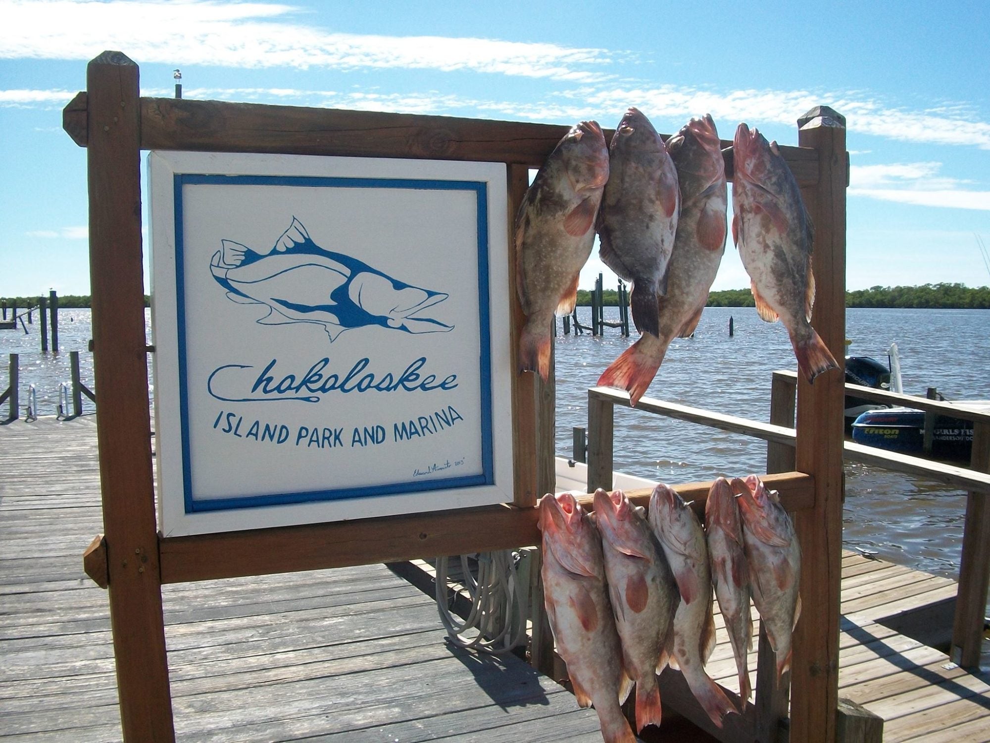 fish fish and more fish at Chokoloskee Island Resort