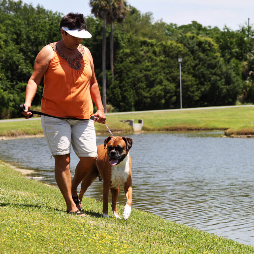 Pet friendly 55+ communities in Florida 