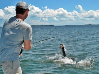 Fly fishing in the Florida Keys off the shore of Big Pine Key in Florida