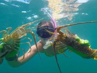 Big Pine Key RV Park &amp; Resort Mini Lobster Weekend