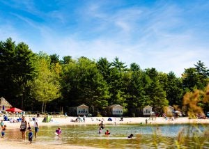 Houses on a beach with trees behind them and people in the water in front