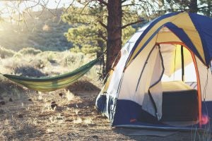 Tent with a hammock set up in Los Padres National Forest, Goleta, United States