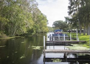 Boat docks with trees on the left side