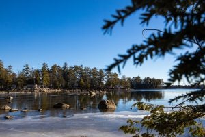 Ice-covered lake with trees on the shore