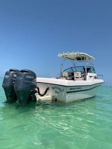 White boat anchored in the water