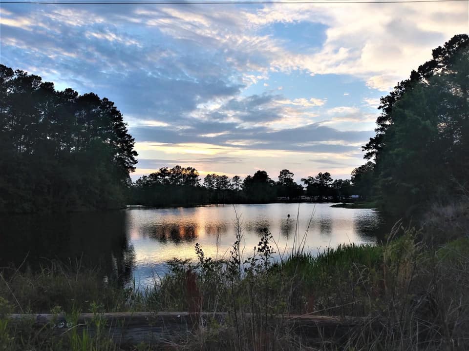 Lake Jasper Sunset