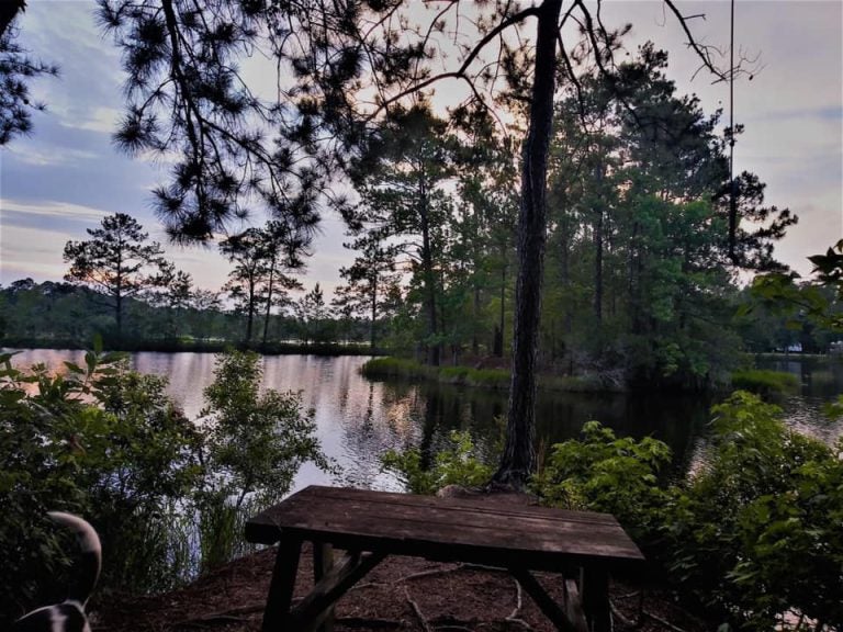 Jake Jasper Sunset Lake View