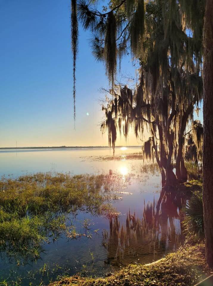 Lake Lowery Glamour Shot