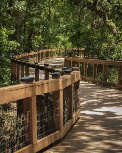 Bridge with green trees surrounding it