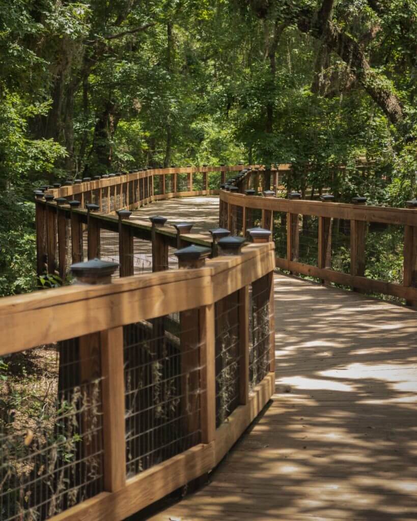 Bridge with green trees surrounding it