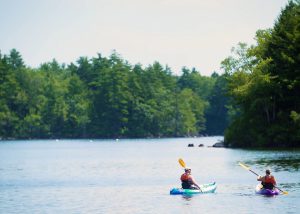 Two people kayaking down a river with trees on either side of them