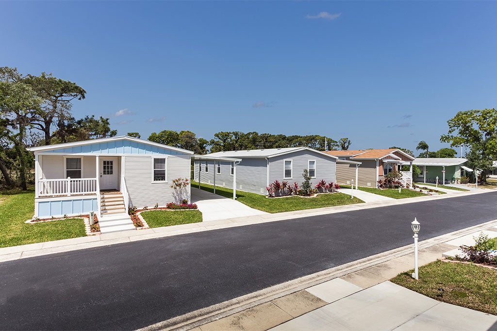 The Meadows street view in Tarpon Springs, Florida