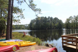 Lake-Jasper-ES-Island