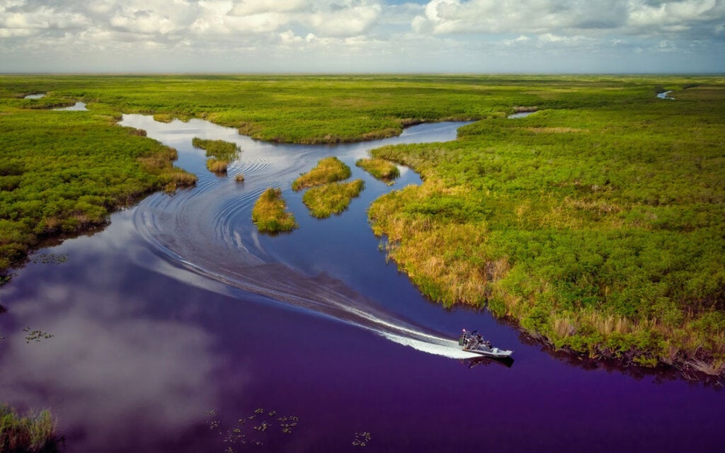 OcuDrone Aerial Landscape Photography in the Florida Everglades