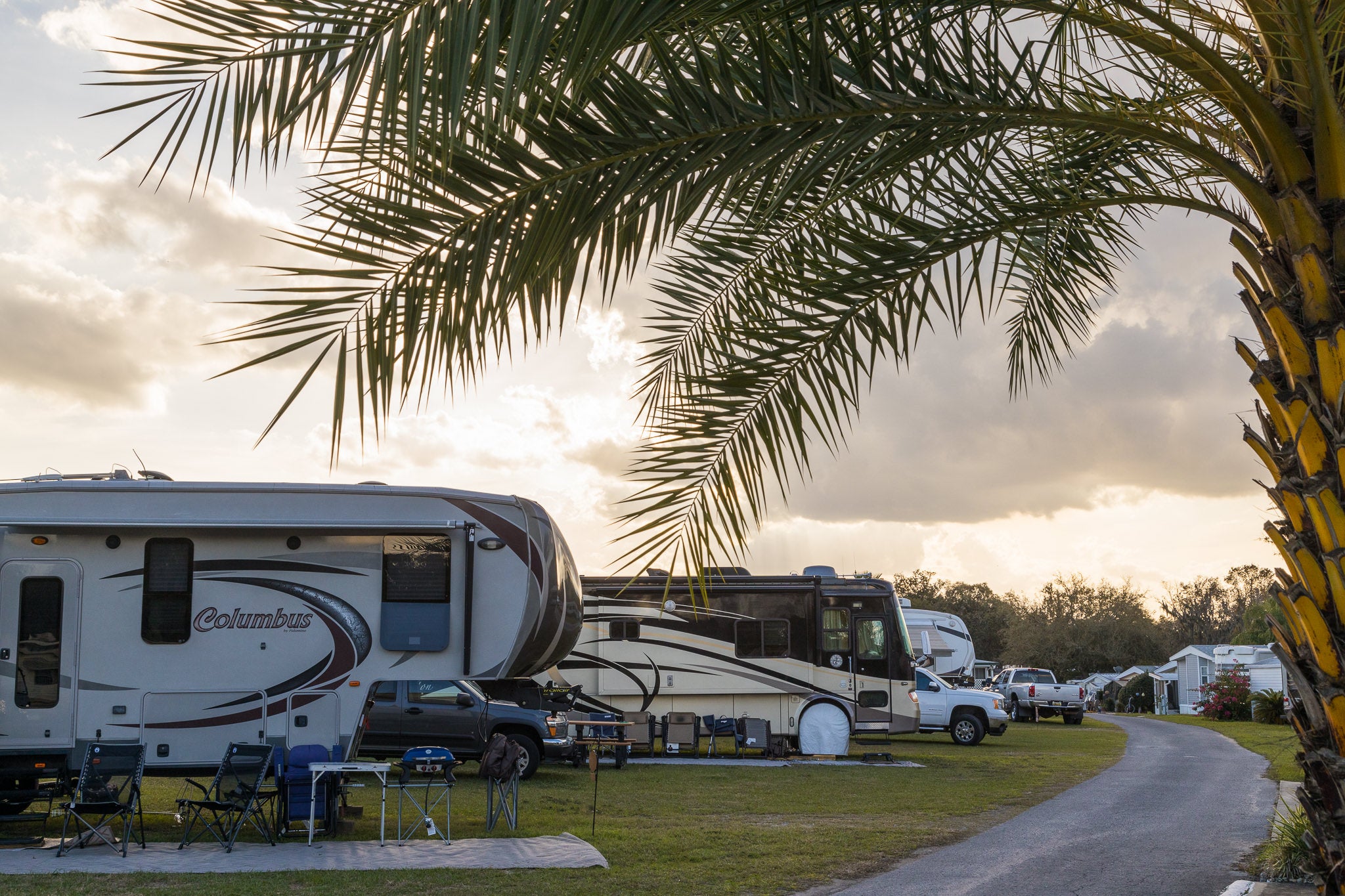 Holiday RV Sites - Palm Trees