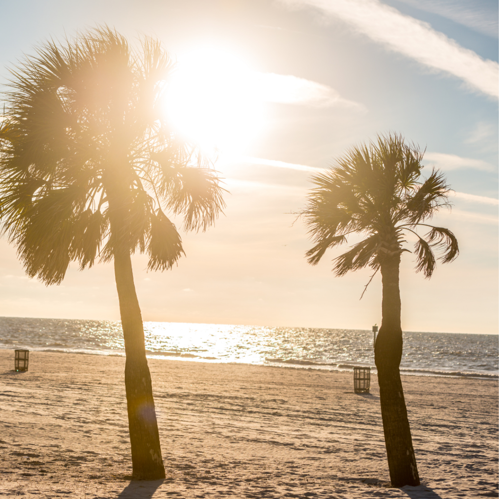 Tarpon Springs Beaches