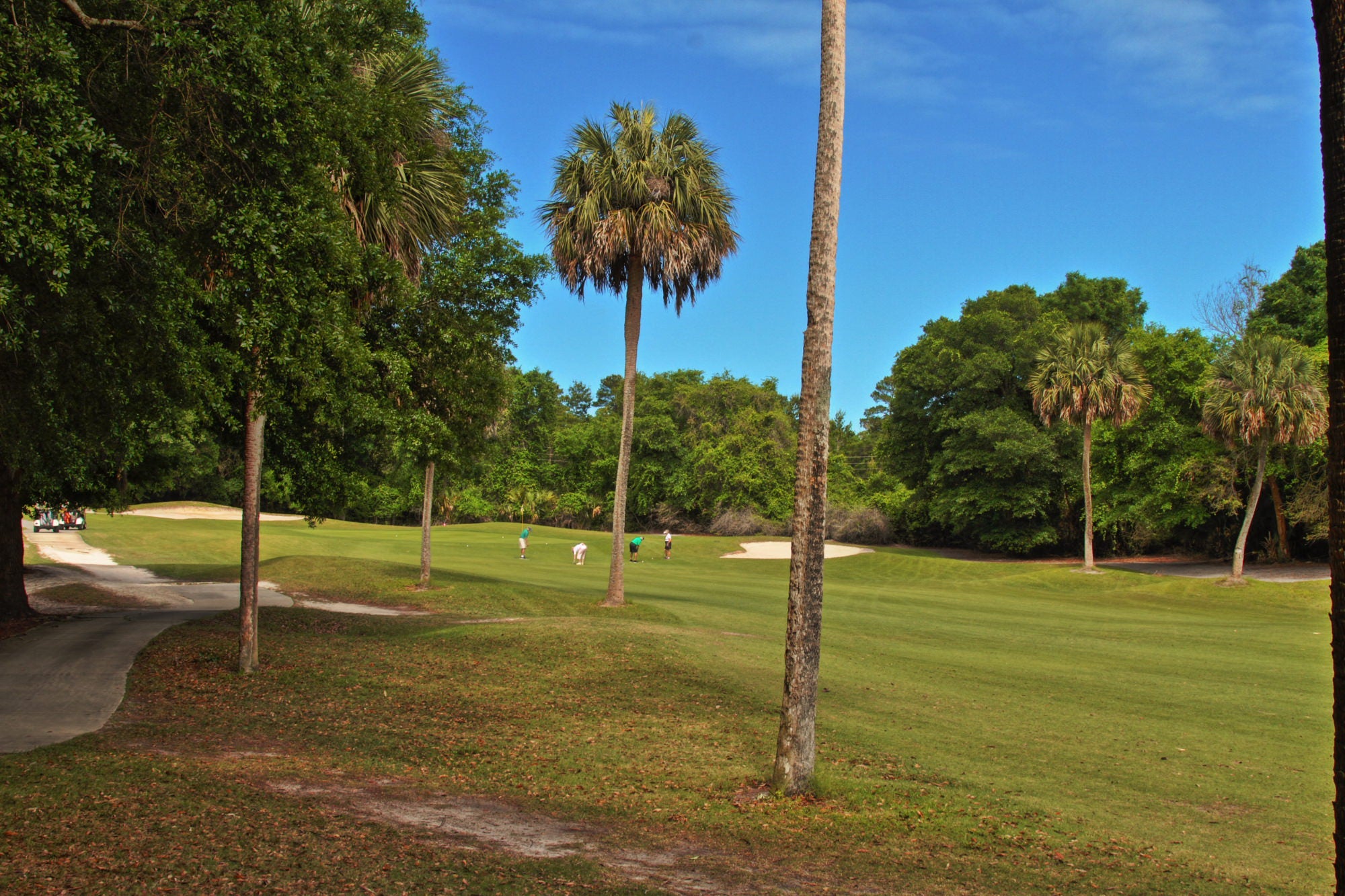 wide shot of golf hole with golfers in the distance