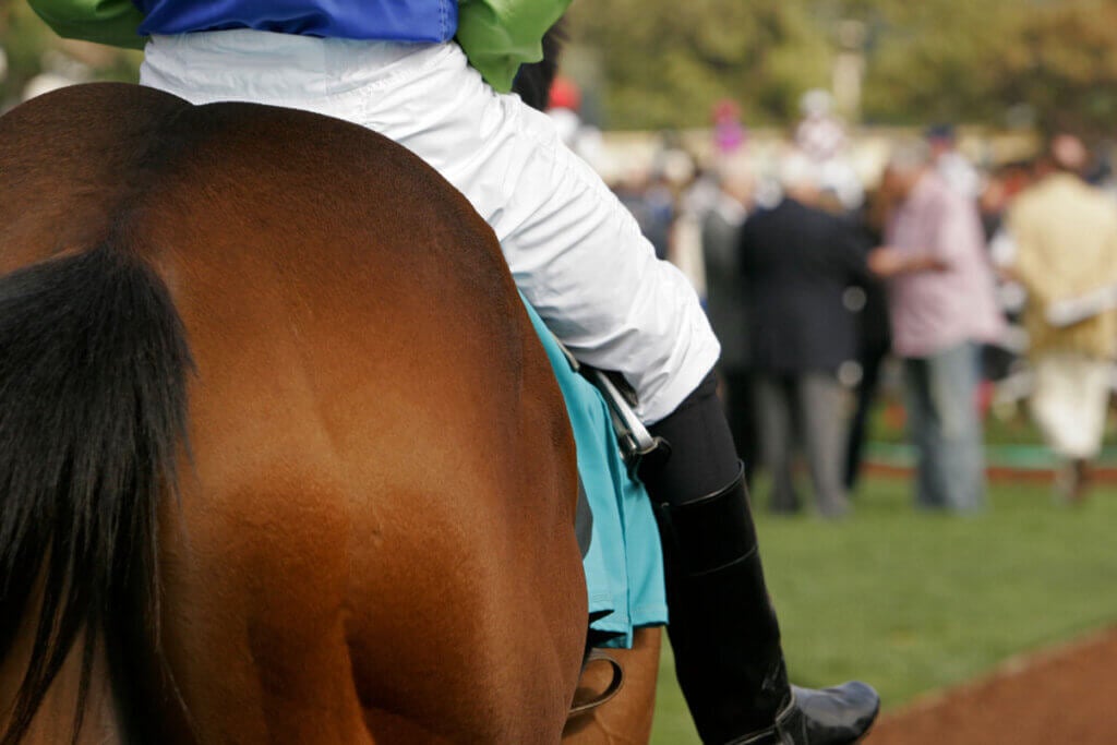 Horse with jockey at a race. Credit: iStock