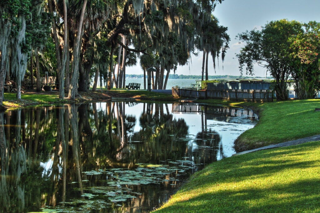 Views at Lake Griffin Harbor