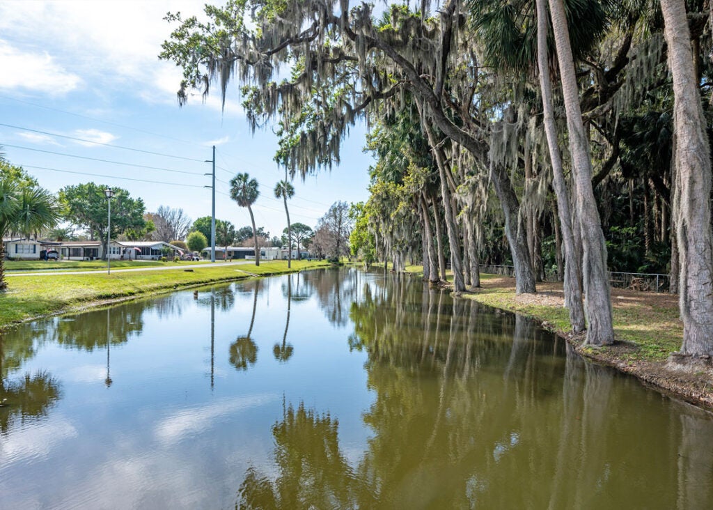 Beauty Shot at Lake Griffin Harbor