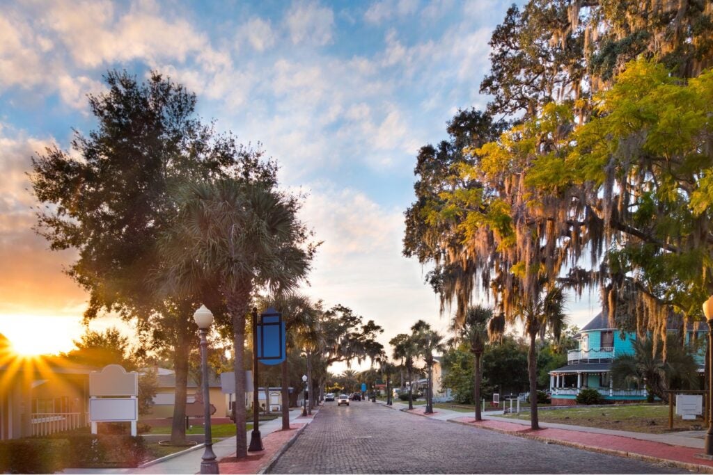 Florida City Landscape