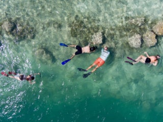 Four people snorkeling in the reef off the coast of Big Pine Key in Florida.