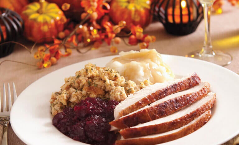 A Thanksgiving dinner plate with turkey and cranberries.