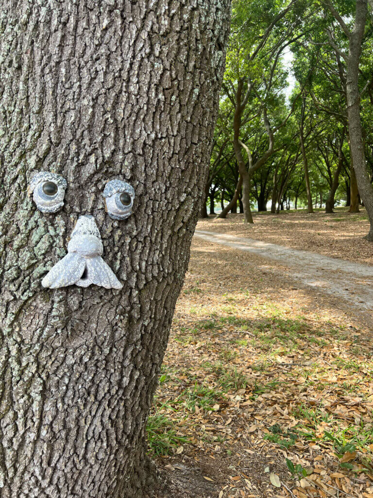 A tree decorated with a face at Oak Harbor RV Park in Haines City, Florida.