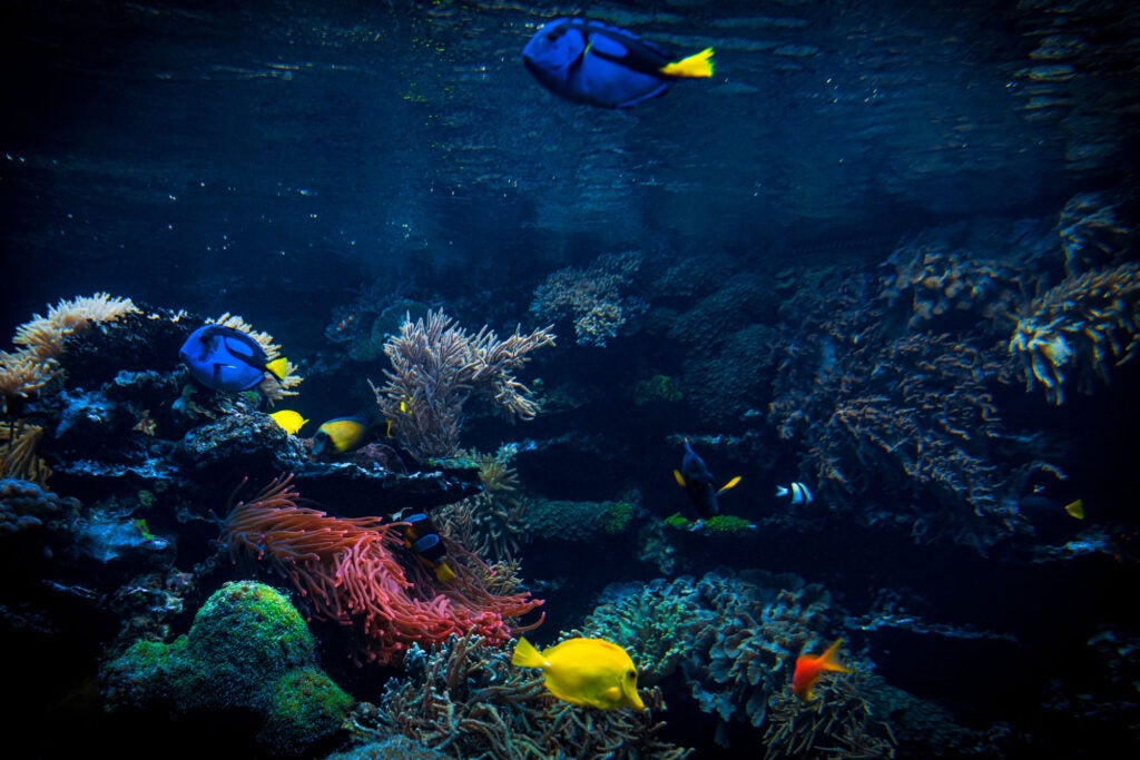 aquarium in Florida