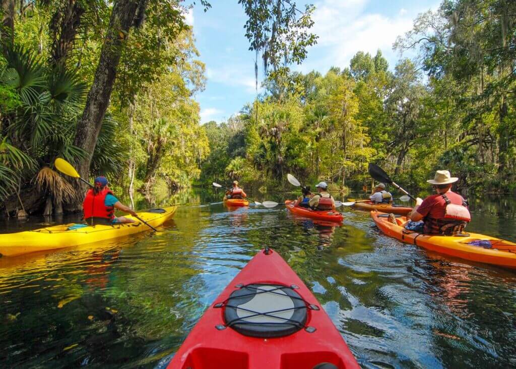 Kayaking on the Estero River