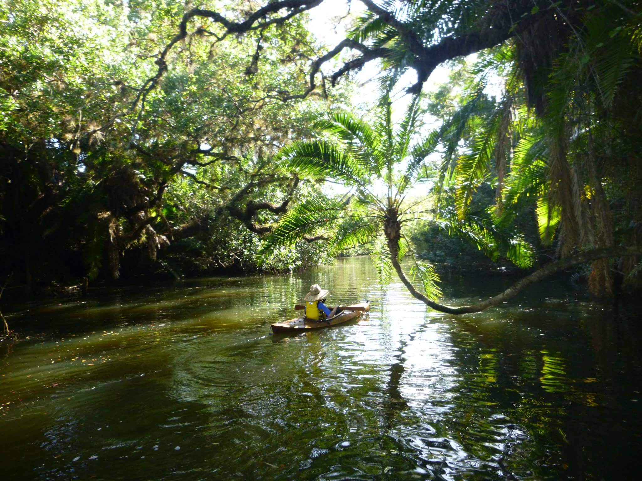 Kayaking on the Estero River