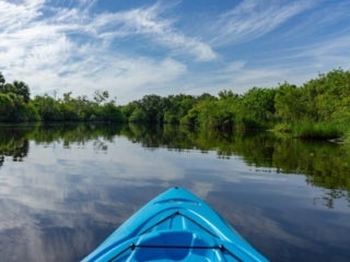 Blue kayak on the beautiful Estero River lined by tall trees.