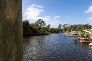 Docks on Estero River