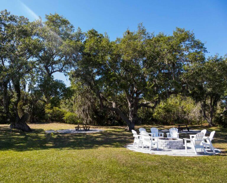 River Vista RV - Firepit and trees