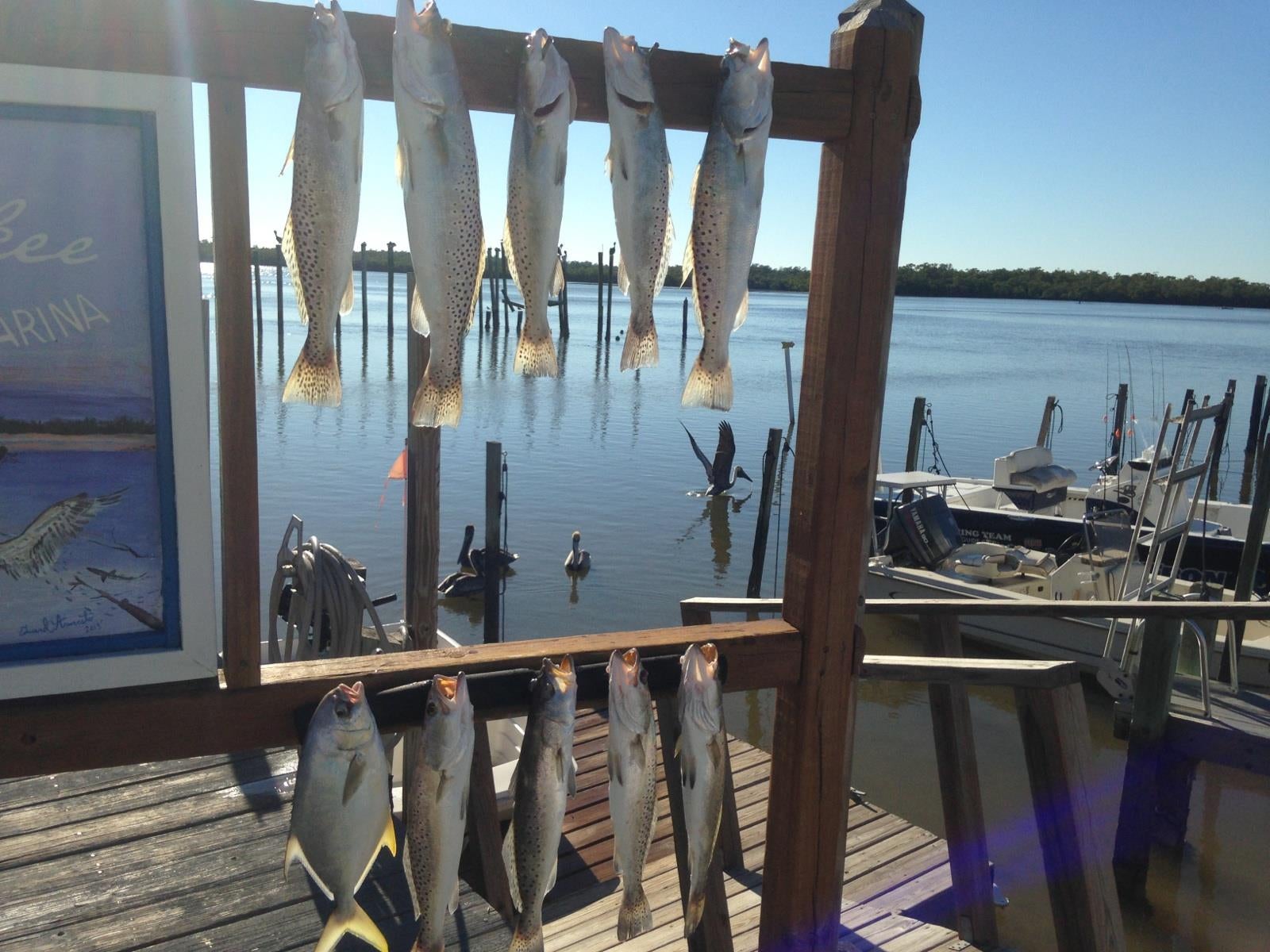 Fishing Charters at Chokoloskee