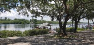 River Vista RV - dock and trees