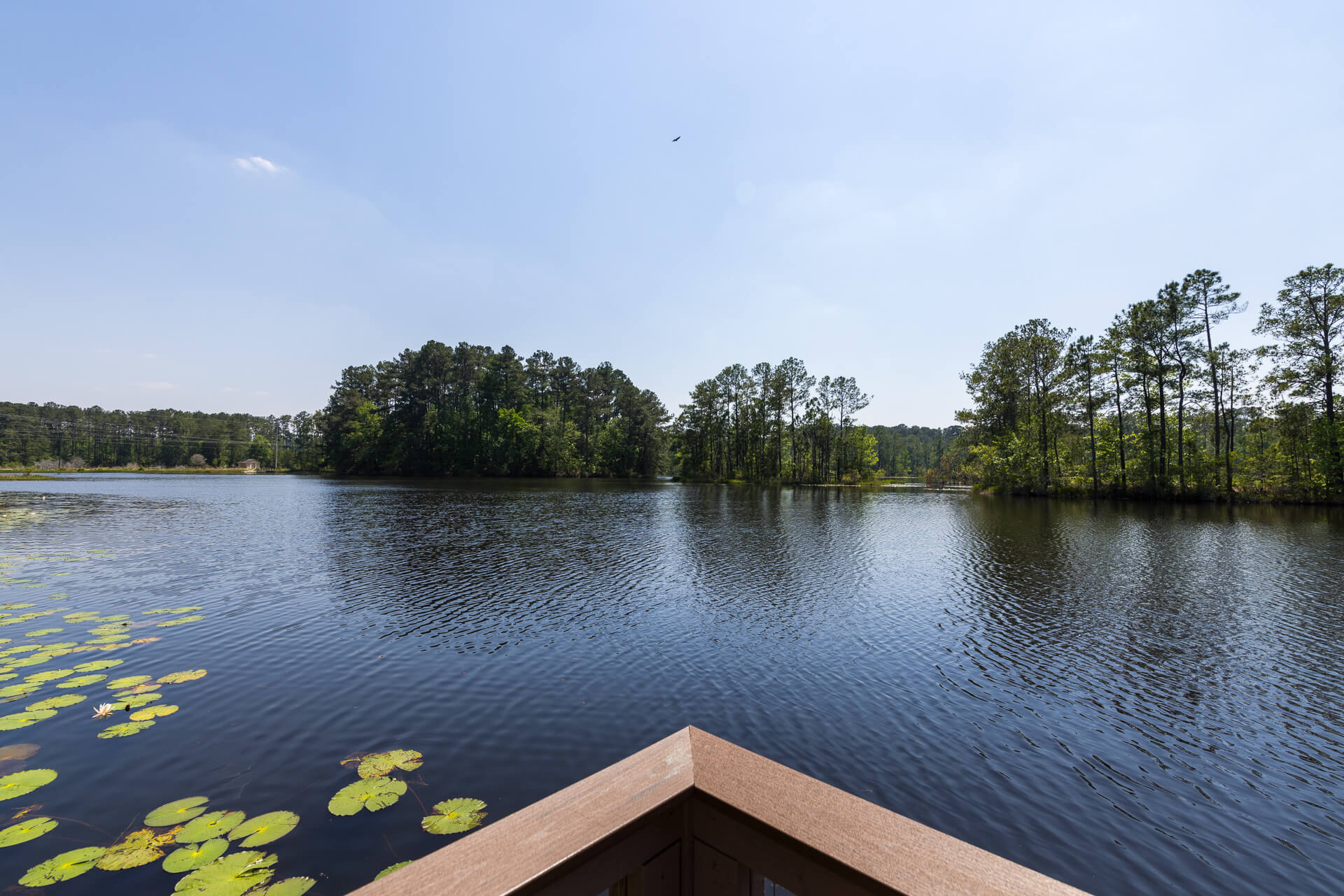 Exploring Scenic South Carolina RV Campgrounds | Cove Communities