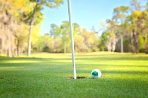 Rolling Greens Village - Golfball Close up