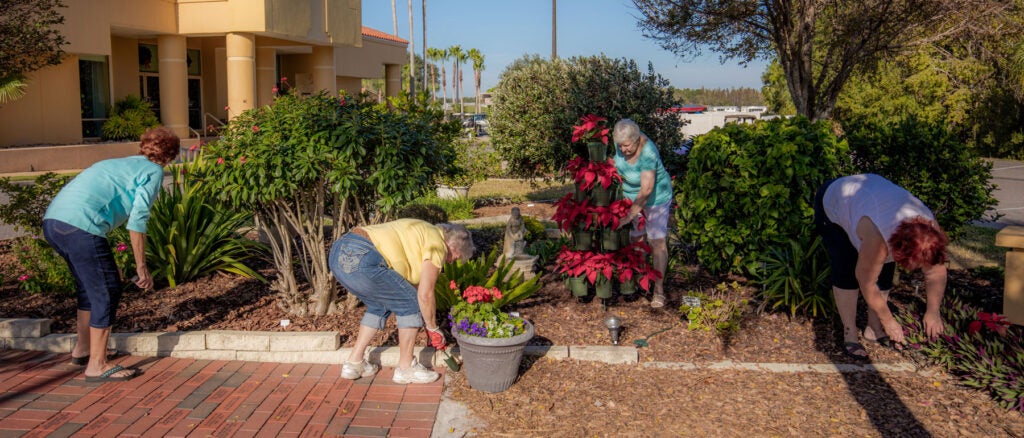 Cypress Lakes Village - gardening club