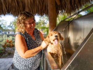 Dog Washing Station at Blueway RV