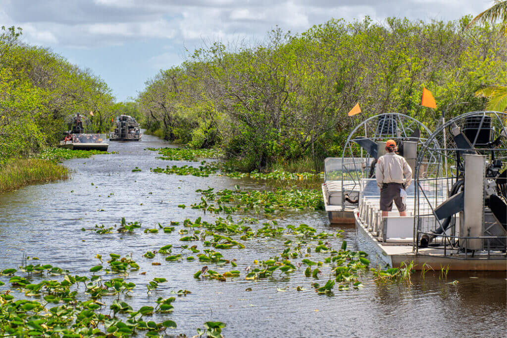 Fishing in the Everglades - Chokoloskee island resort