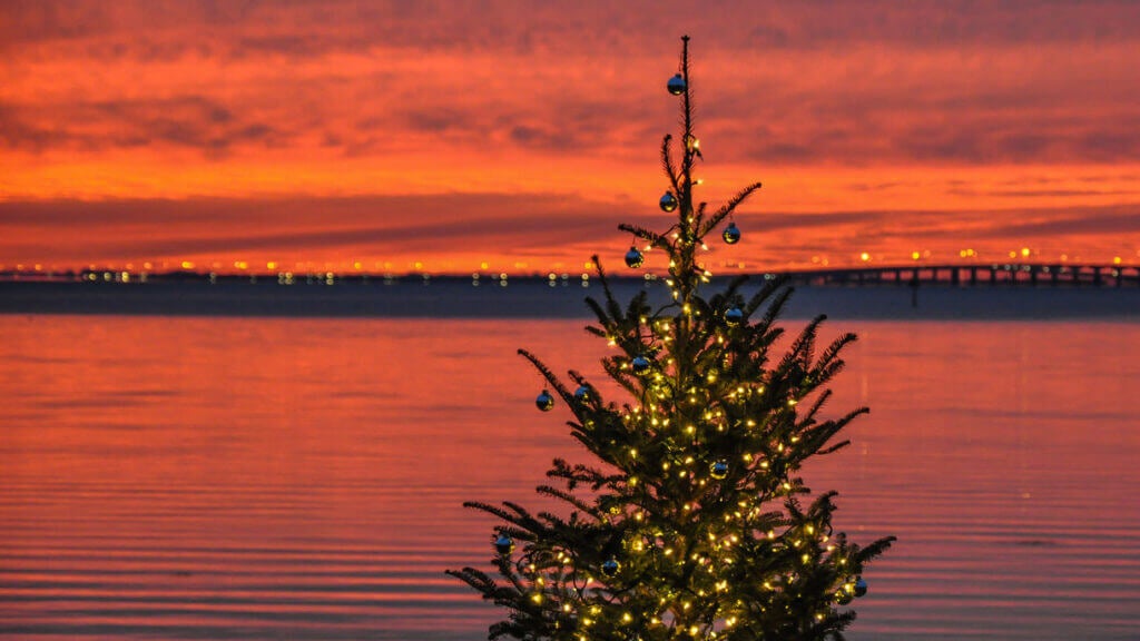 Christmas tree on the Florida coast