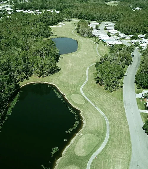 Hole 12 Cypress Lakes Golf Club