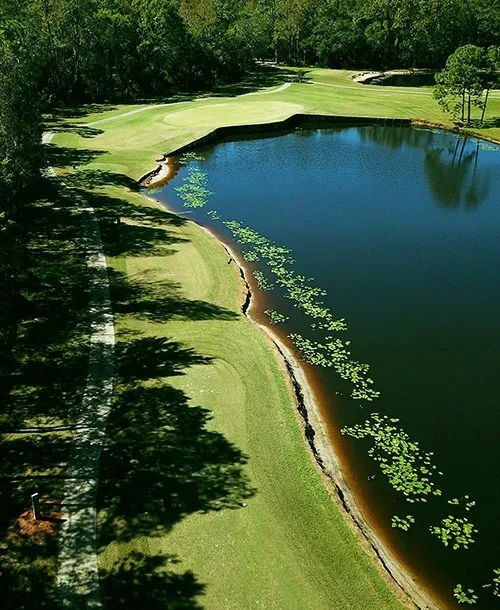 Hole 15 Cypress Lakes Golf Club