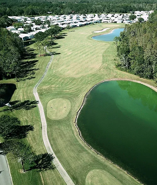 Hole 17 Cypress Lakes Golf Club