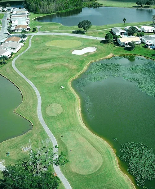 Hole 8 Cypress Lakes Golf Club