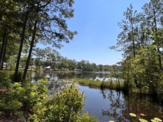 Lake Jasper RV Views from Campsites