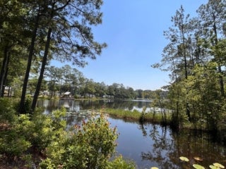 Lake Jasper RV Views from Campsites
