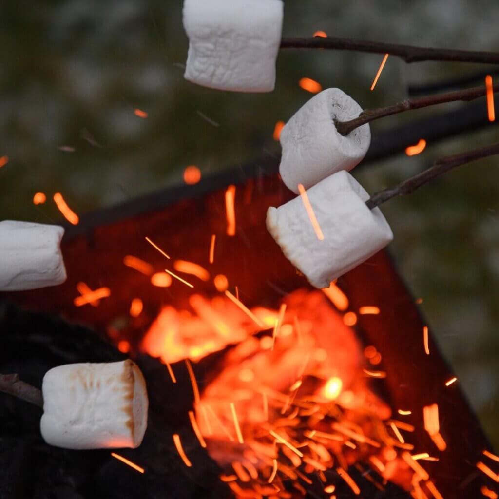 5 marshmallows roasting over a campfire