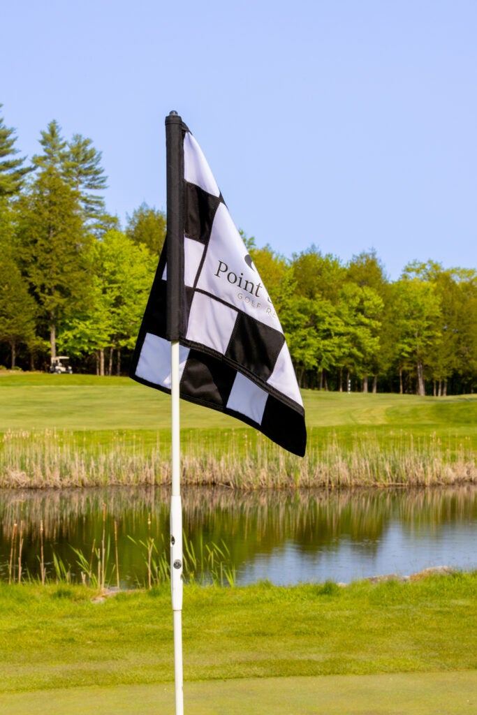 Flag stick with pond in background